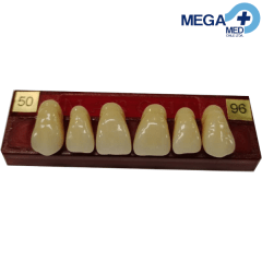 DIENTE MARCHE ANTERIOR SUPERIOR COLOR 50