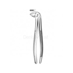 FORCEP # 33 CURVO S/BORDE MEDIO