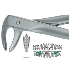 FORCEP # 7 INGLÉS MEDIO PREMOLAR SUPERIOR