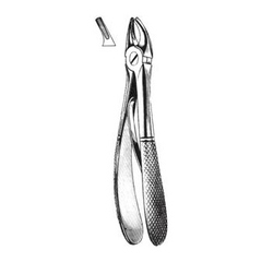 FORCEP NIÑO # 561 INGLES
