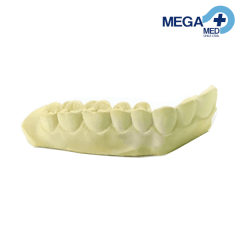 MODELO YESO IDEAL DENTADO LATERAL