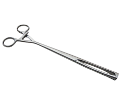 PINZA MUSEAUX RECTA 24 CM/ 6 MM