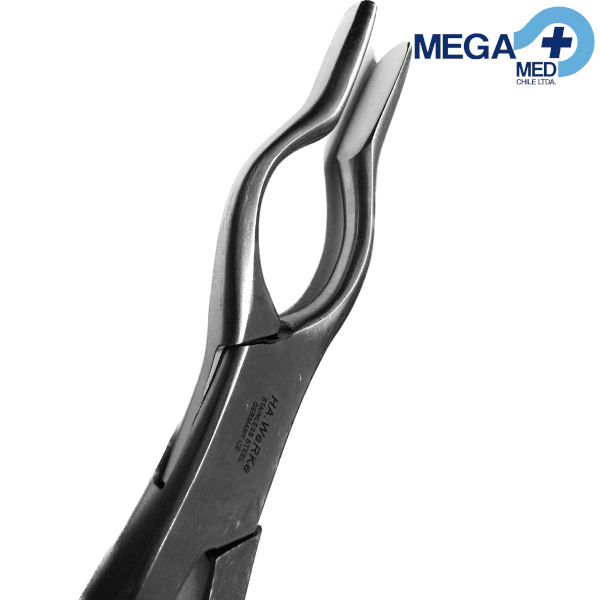 COTTLE WALSHAM PLASTICA NASAL2