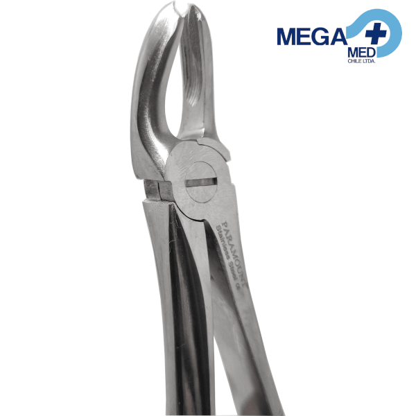 FORCEP # 18A INGLÉS DOBLE ESPOLÓN UNIV3