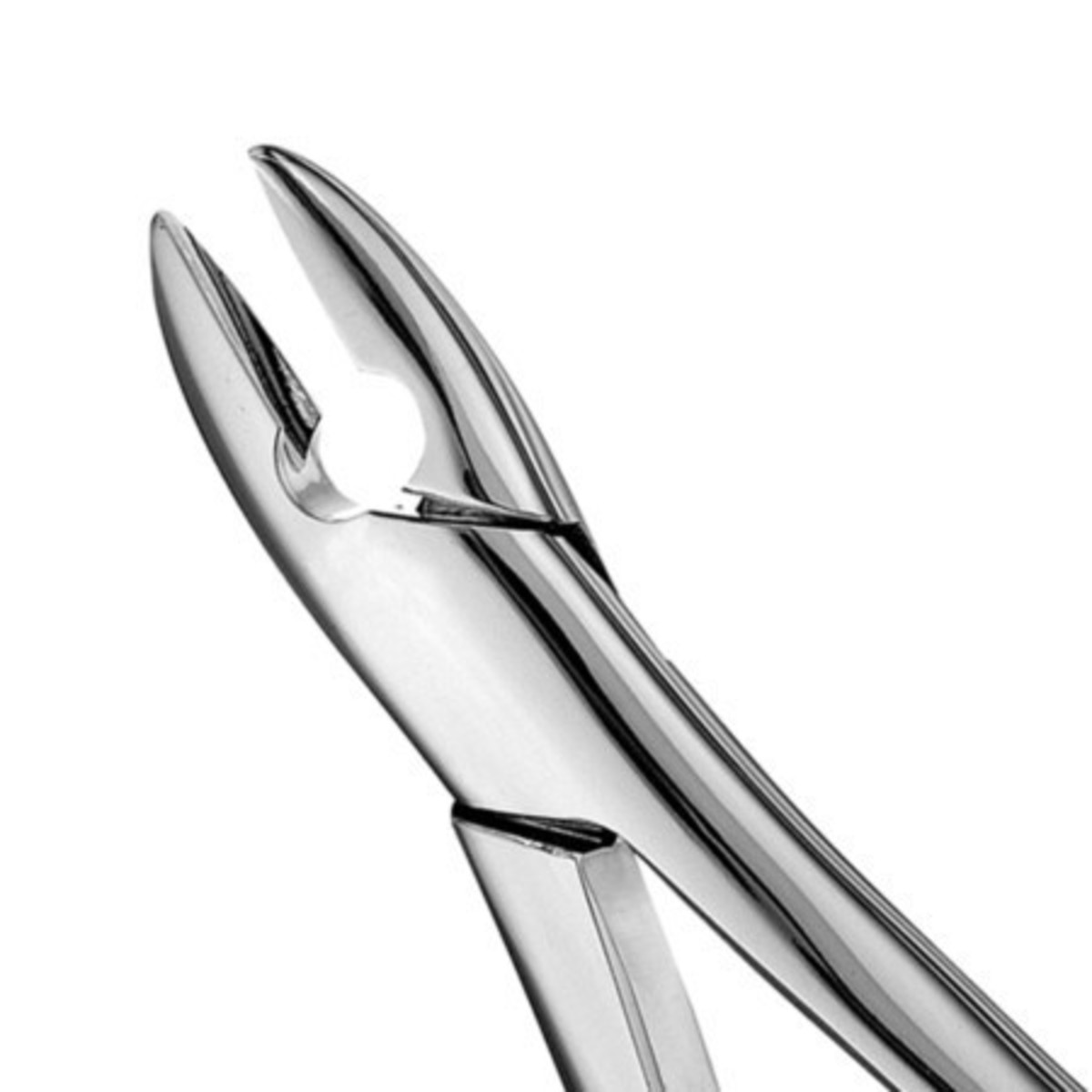 FORCEP # 1 RECTO ANTERIOR GRUESO SUPERIOR 0