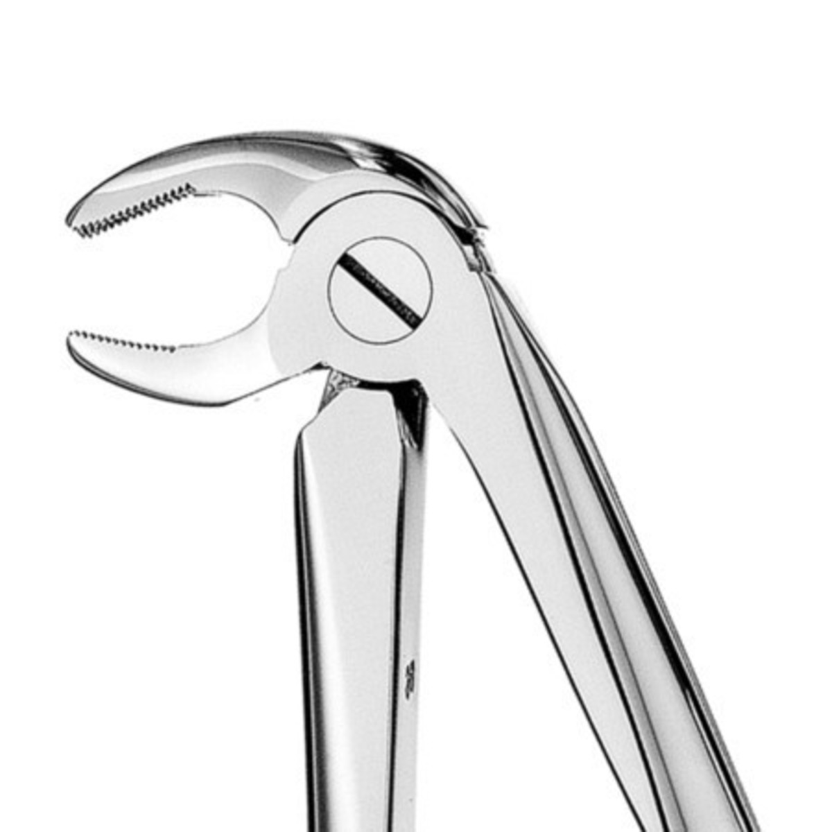 FORCEP # 13 CURVO S/BORDE MEDIO PREMOLAR INFERIOR2