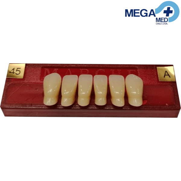 DIENTE MARCHE ANTERIOR INFERIOR COLOR 45 0