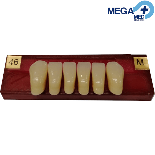DIENTE MARCHE ANTERIOR INFERIOR COLOR 463