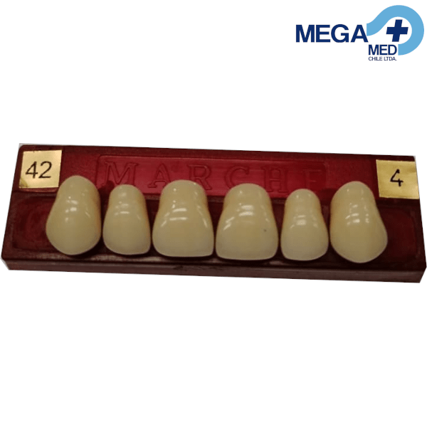 DIENTE MARCHE ANTERIOR SUPERIOR COLOR 422