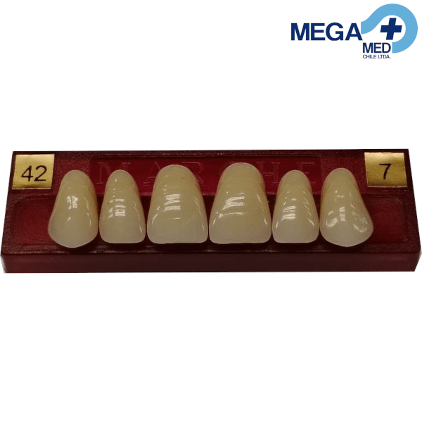 DIENTE MARCHE ANTERIOR SUPERIOR COLOR 423