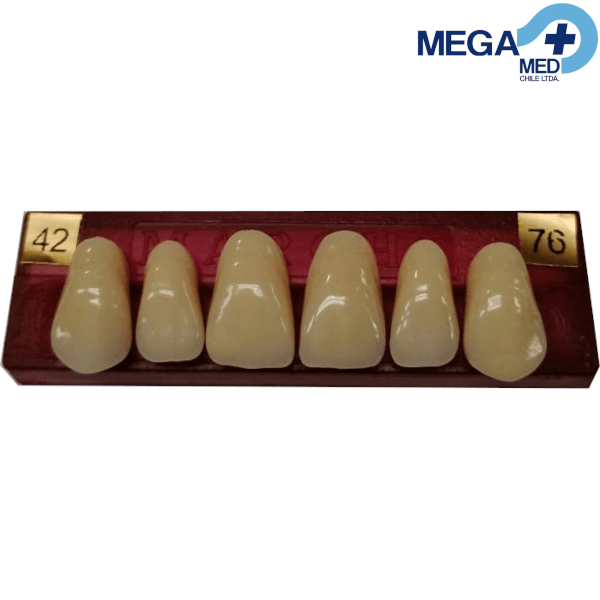 DIENTE MARCHE ANTERIOR SUPERIOR COLOR 424