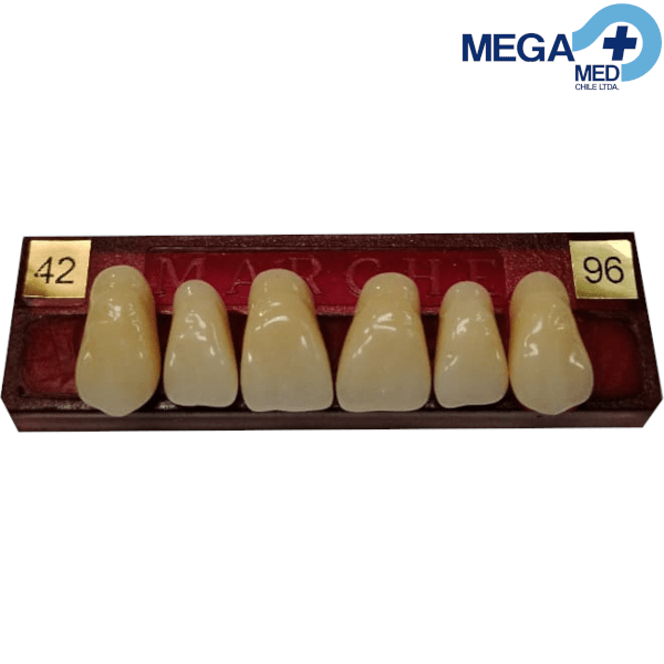 DIENTE MARCHE ANTERIOR SUPERIOR COLOR 425