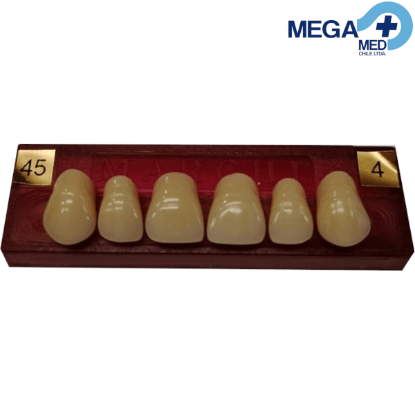 DIENTE MARCHE ANTERIOR SUPERIOR COLOR 45 0