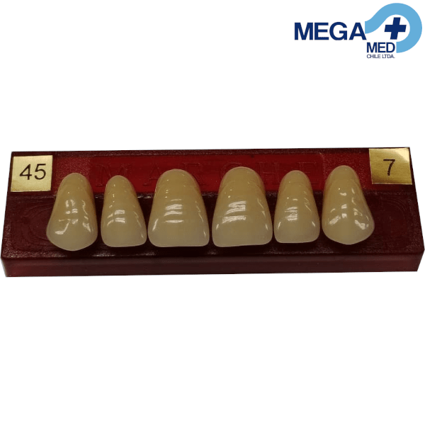 DIENTE MARCHE ANTERIOR SUPERIOR COLOR 452