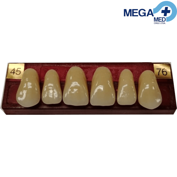 DIENTE MARCHE ANTERIOR SUPERIOR COLOR 453