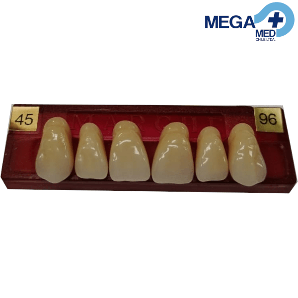 DIENTE MARCHE ANTERIOR SUPERIOR COLOR 455