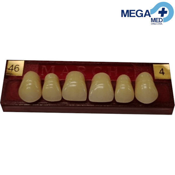 DIENTE MARCHE ANTERIOR SUPERIOR COLOR 462