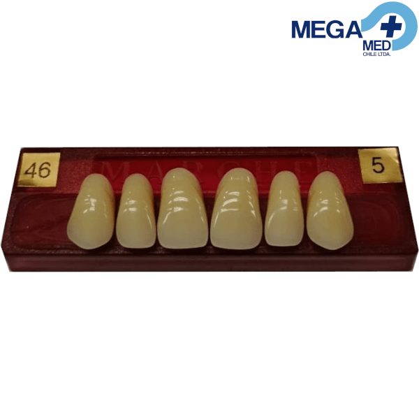 DIENTE MARCHE ANTERIOR SUPERIOR COLOR 463