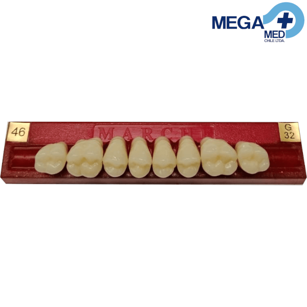 DIENTE MARCHE POSTERIOR SUPERIOR COLOR 469