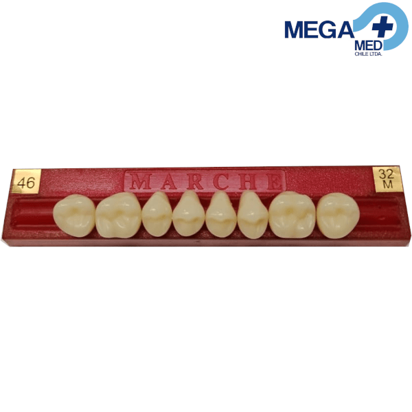 DIENTE MARCHE POSTERIOR SUPERIOR COLOR 46 0