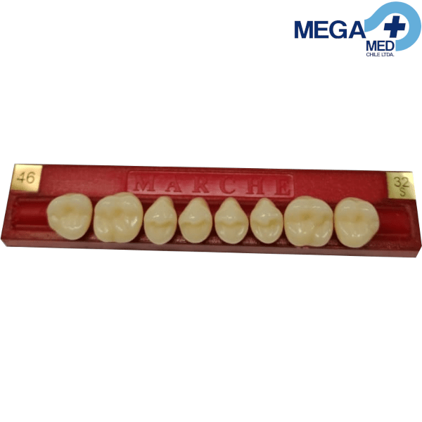 DIENTE MARCHE POSTERIOR SUPERIOR COLOR 462