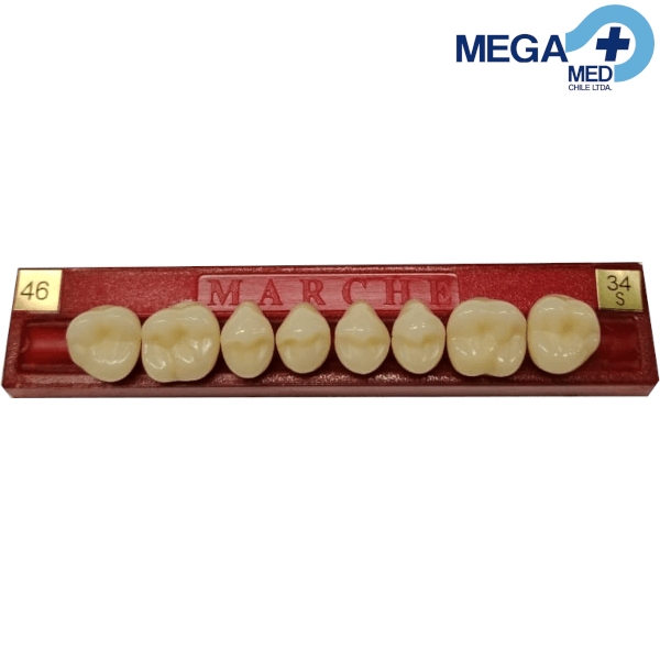 DIENTE MARCHE POSTERIOR SUPERIOR COLOR 463