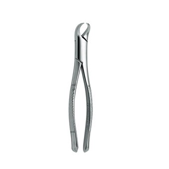 FORCEP # 23 INGLÉS CUERNO DE VACA