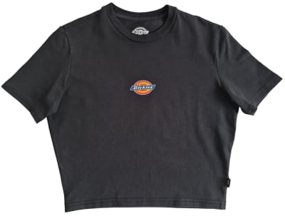 Top vintage, Dickies s1