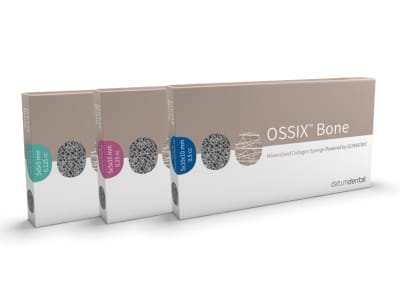 Ossix Bone