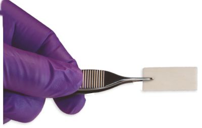Oragraft® CORTICAL PLATE 30X15X1MM