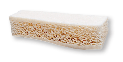 OraGRAFT® Tira de Hueso Ilíaco en Bloque Bicortical