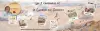 Cursos online