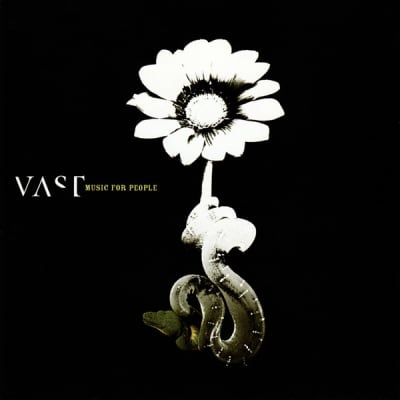 CD VAST/ MUSIC FOR PEOPLE 1CD