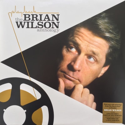 VINILO BRIAN WILSON/ PLAYBACK: THE BRIAN WILSON ANT 2LP