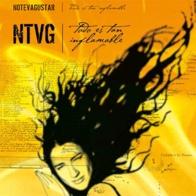 VINILO NO TE VA GUSTAR/ TODO ES TAN INFLAMABLE 1LP