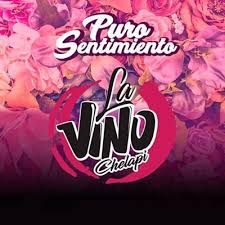 Vinochelapi - Puro Sentimiento