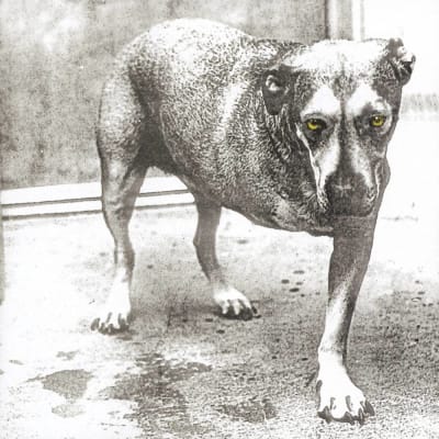 VINILO ALICE IN CHAINS/ ALICE IN CHAINS 2LP