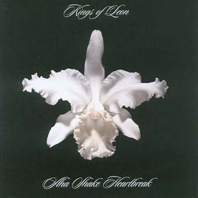 VINILO KINGS OF LEON/ AHA SHAKE HEARTBREAK 2LP