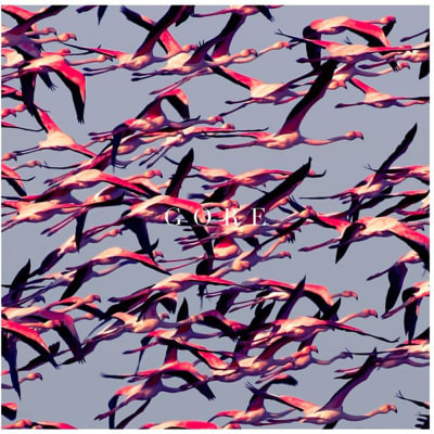 CD DEFTONES / GORE 1CD