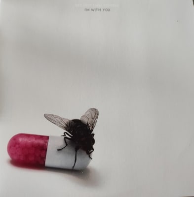 Red Hot Chili Peppers - I'M With You (+magazine)