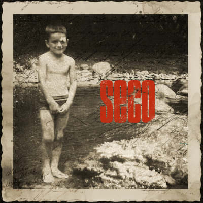 CD RICARDO ARJONA/ SECO 1CD