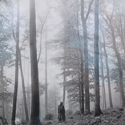 Taylor Swift - Folklore Deluxe Edition