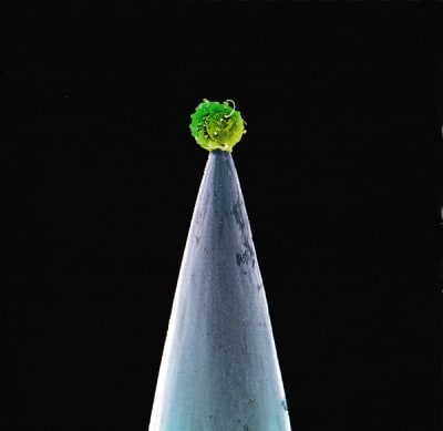 Peter Gabriel - New Blood