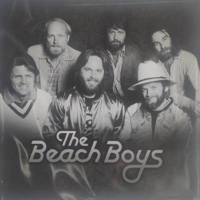 The Beach Boys - The Beach Boys (white Vinyl)