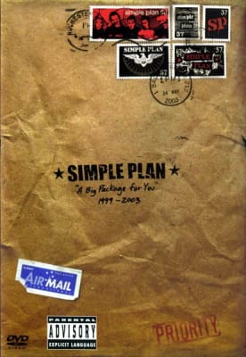 DVD SIMPLE PLAN/ A BIG PACKAGE FOR YOU 1DVD