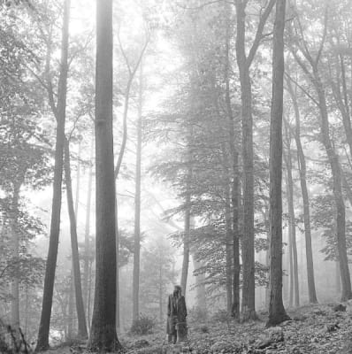 Taylor Swift - Folklore (2Lp)