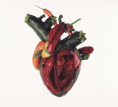 Carcass - Torn Arteries