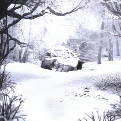Weezer - SZNZ: Winter