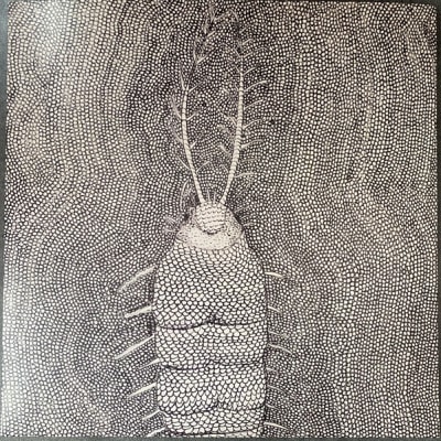 VINILO DANIEL MELERO/ QUALIA MICROGRAFIA 1LP