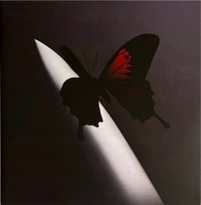 VINILO POST MALONE/ TWELVE CARAT TOOTHACHE 2LP